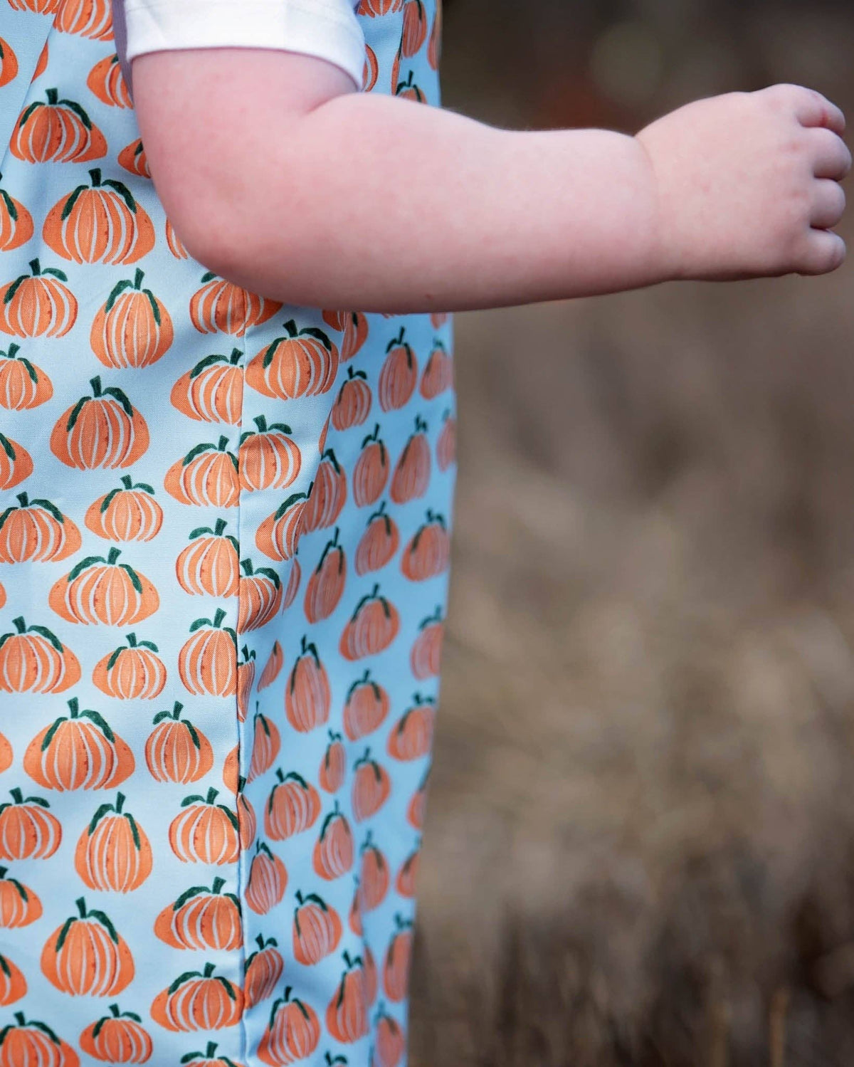 Pumpkin Spice Print Blue Longall