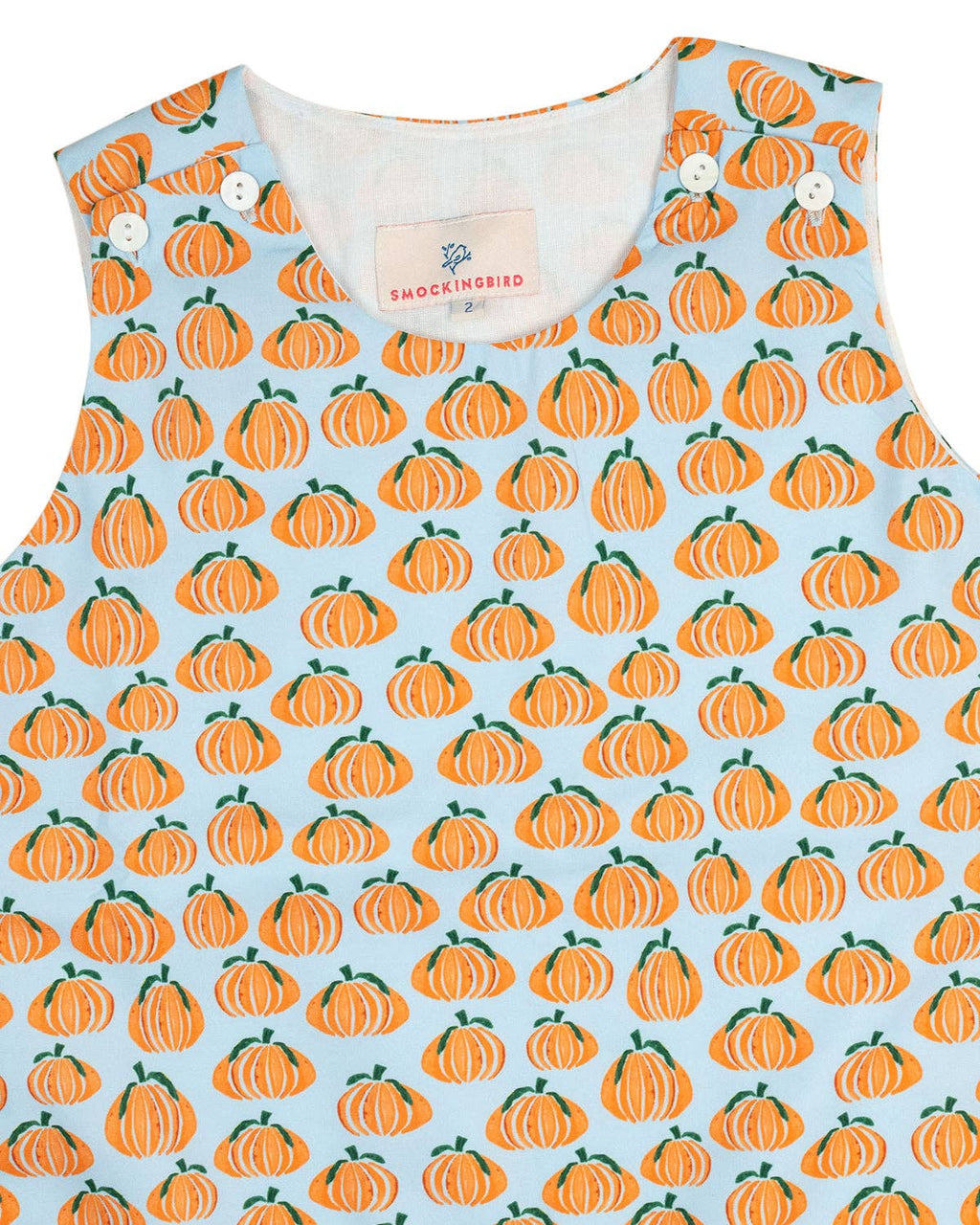 Pumpkin Spice Print Blue Longall