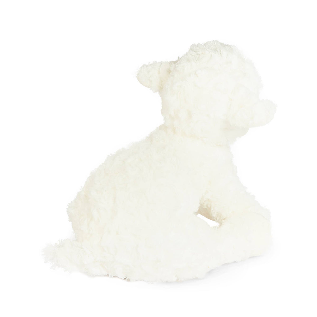 Kiddo the Lamb