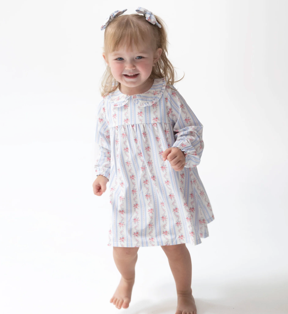 Anna Floral Stripe Dress and Bloomer