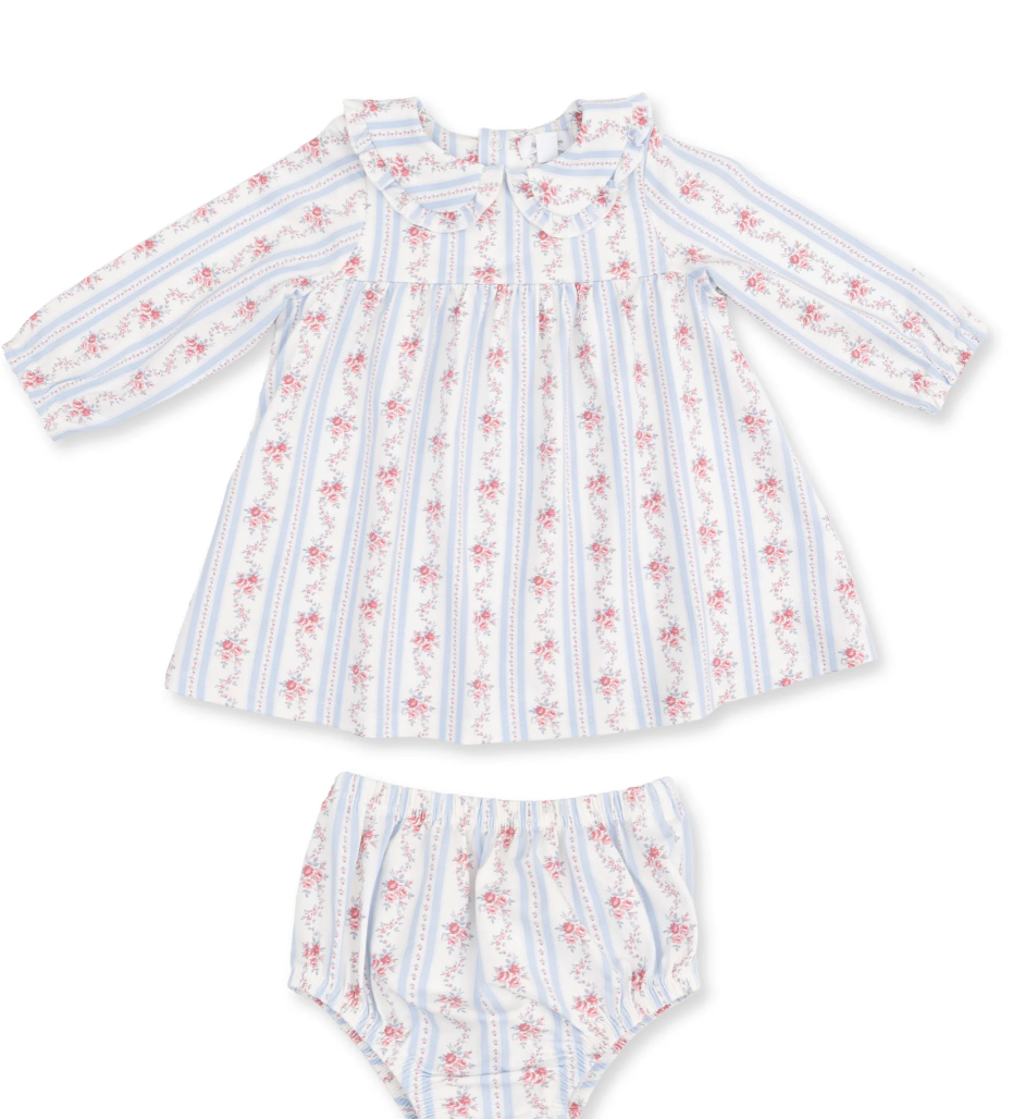 Anna Floral Stripe Dress and Bloomer