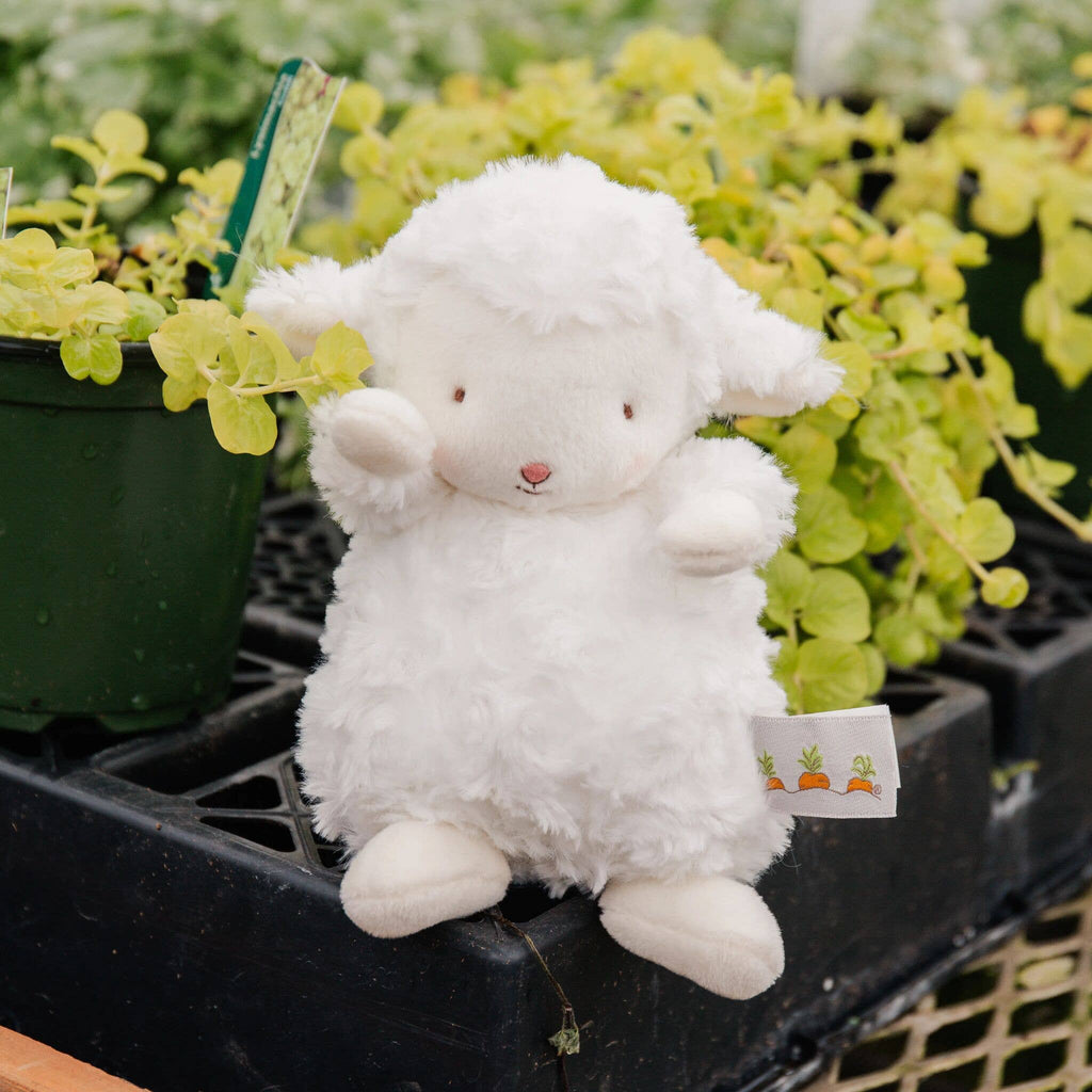Wee Kiddo Lamb
