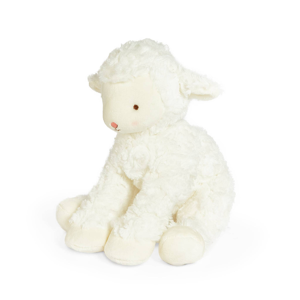 Kiddo the Lamb
