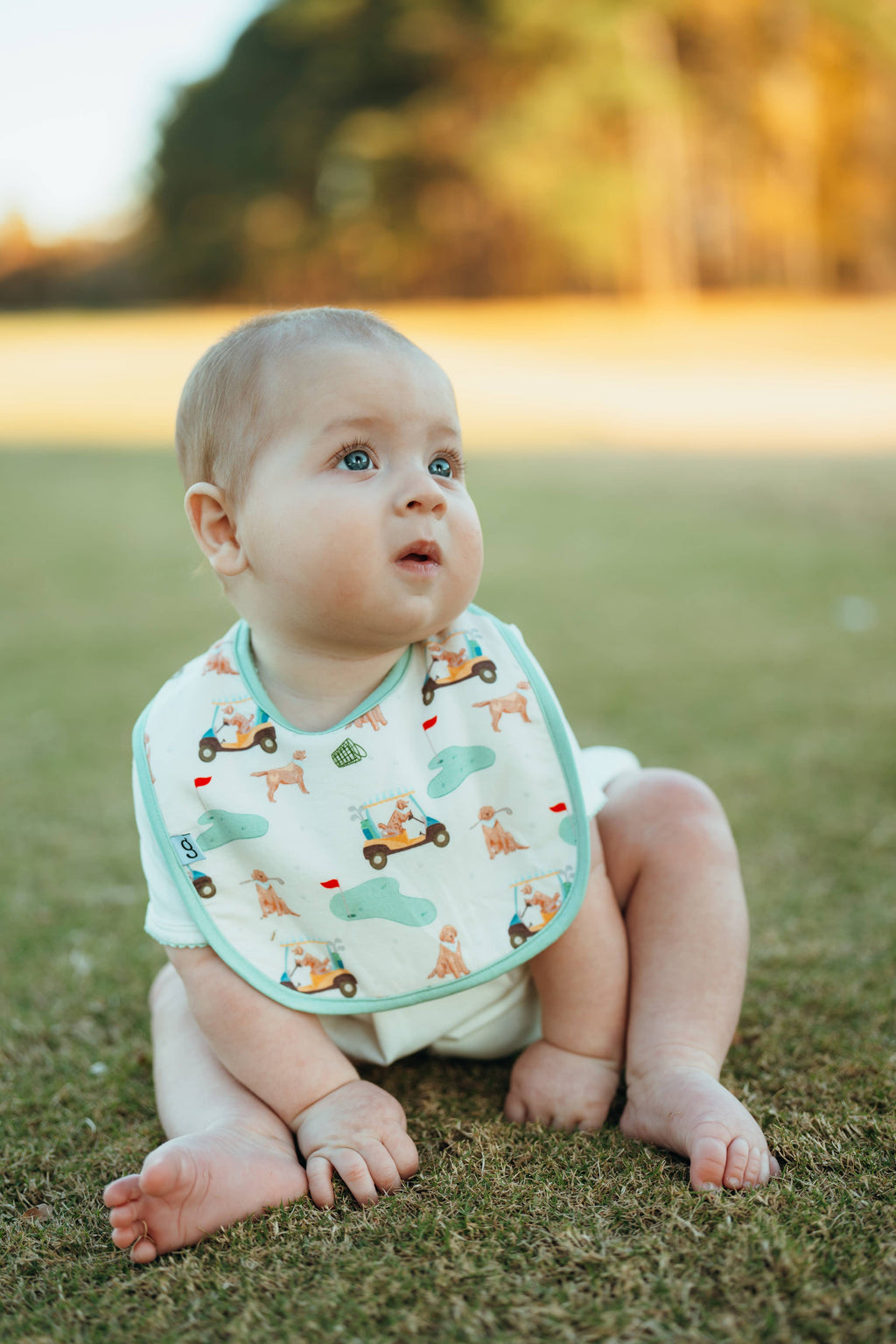 Barks & Birdies Bib Set